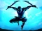Joc Shadow Ninja Revenge on-line