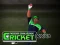 Joc Cricket Fielder Challenge on-line