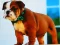 Joc Bulldog Puppy Puzzle on-line