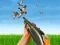 Joc Bird Hunting on-line