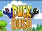 Joc Duck Dash on-line