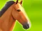Joc Horse Run 3D on-line