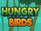 Joc Hungry Birds on-line