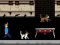 Joc Streamer Fashion Run on-line