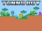 Joc Tunno Boy on-line