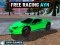 Joc Free Racing Ayn on-line