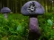 Joc Mushroom Forest Adventure on-line