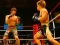 Joc MMA Fighters Jigsaw on-line