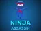 Joc Ninja Assassin on-line