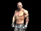 Joc Fight Arena Online on-line