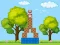 Joc Box Challenge on-line