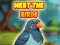 Joc Meet The Birds on-line