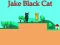 Joc Jake Black Cat on-line