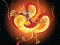 Joc Chinese Dragons Coloring on-line