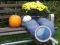 Joc Autumn Garden Find 100 butterflies on-line