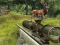 Joc Stag Hunt on-line