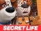 Joc The Secret Life of Pets Jigsaw Puzzle on-line