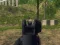 Joc Army Shooter on-line