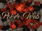 Joc Poker Web on-line
