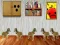 Joc Dog Room Escape on-line