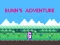 Joc Bunn's Adventure on-line