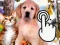 Joc Pets Clicker on-line