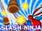 Joc Slash Ninja on-line