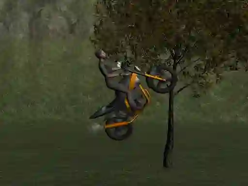 Joc Mountain Bike Rider on-line