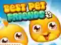 Joc Best Pet Friends on-line