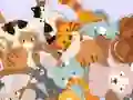 Joc Find The Kitty on-line