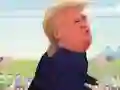 Joc Trump Walk on-line