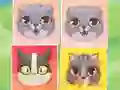 Joc Kitten Match on-line