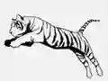 Joc Quick Quiz on-line