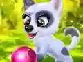 Joc Happy Dog on-line