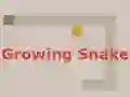 Joc Growing Snake on-line