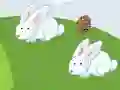 Joc Crazy Eggs on-line