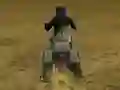 Joc Real Moto Stunts Challenge on-line