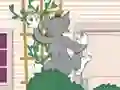 Joc Tom und Jerry: Wasserbomben Wahnsinn on-line