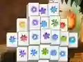Joc Spring Flower on-line