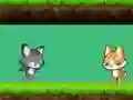 Joc Cat vs Dog on-line