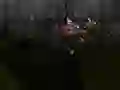 Joc Zombie Survival on-line