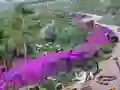 Joc Vanishing Trail on-line