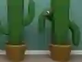Joc Cactus Cube on-line