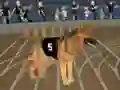 Joc Crazy Dog Racing Fever on-line