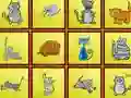 Joc Cats Findiff on-line