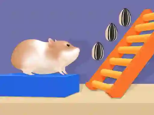 Joc Hamster Stack Maze on-line