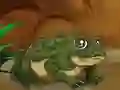 Joc Frogs Matching on-line