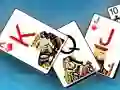 Joc Double Solitaire on-line