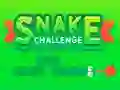 Joc Snake Challenge on-line