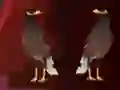 Joc Peikin Duck Escape on-line